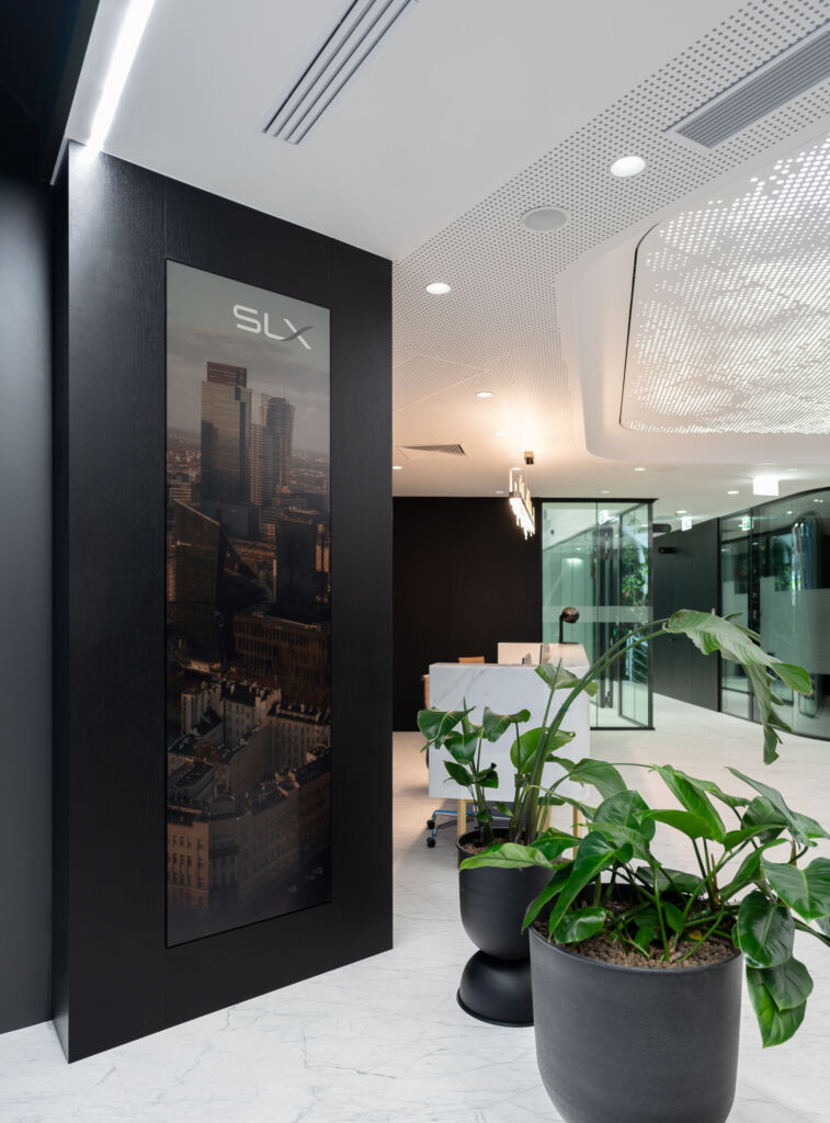 Digital Signane - project SLX
